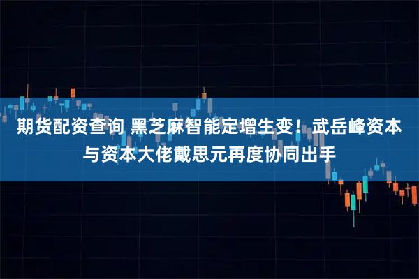 期货配资查询 黑芝麻智能定增生变！武岳峰资本与资本大佬戴思元再度协同出手