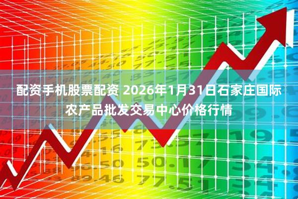 配资手机股票配资 2026年1月31日石家庄国际农产品批发交易中心价格行情